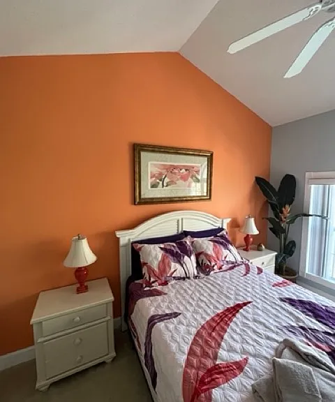 Hibiscus Dr — Photo 19