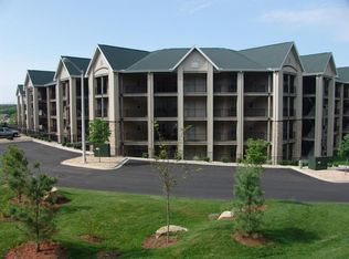 330 S Wildwood Dr UNIT 4, Branson, MO 65616