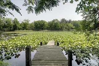 3rd image of 22815 Truckenmiller Rd