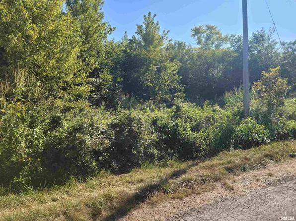 175 E Lang Ln, Bonnie, IL 62816
