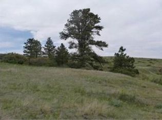 9187 Cooper Creek Ct, Parker, CO 80138