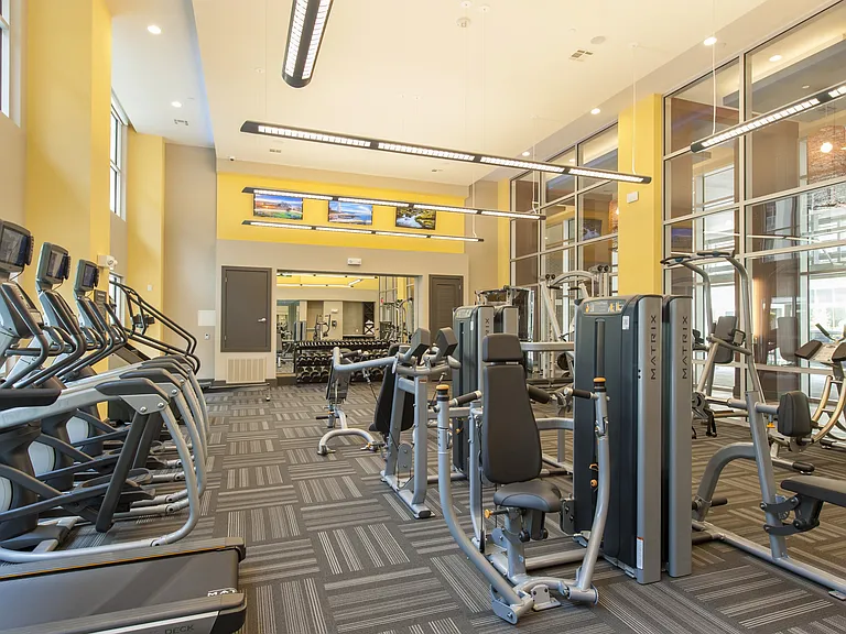 Elevate your fitness routine.