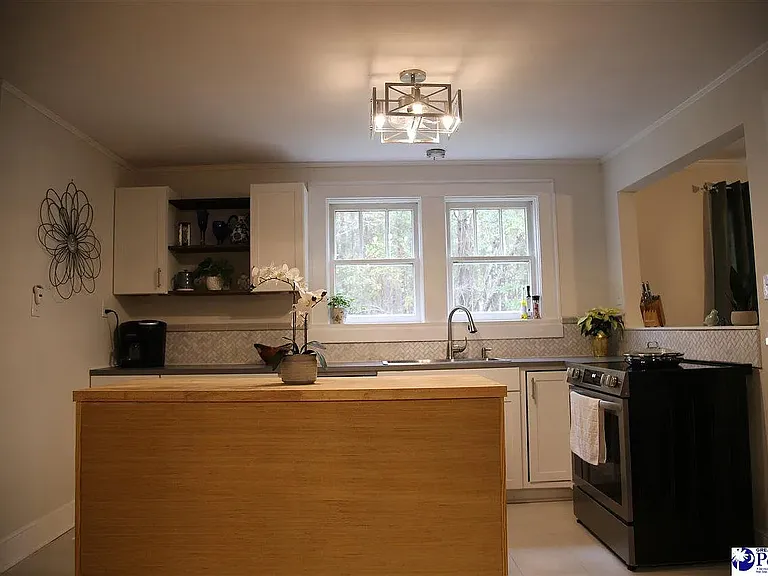 928 W Lydia Hwy — Photo 10