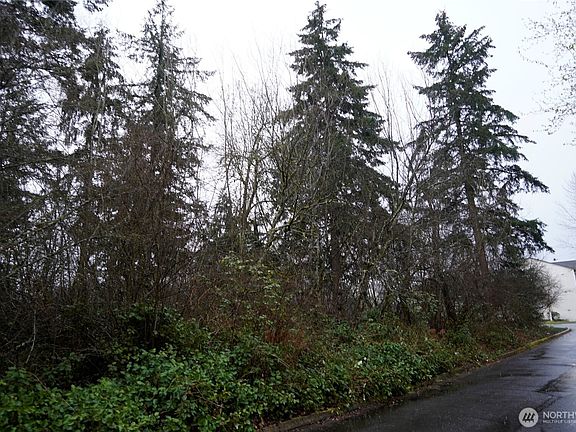 3rd image of 803 112th Street E