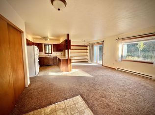 810 Badger Ln, Fraser, CO 80442