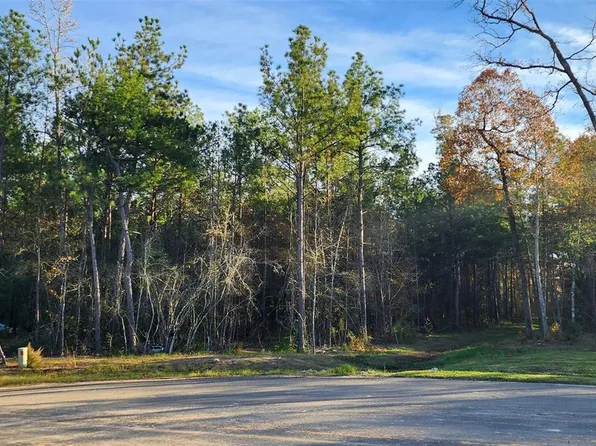 7705 Dog Wood Acres Drive, Montgomery, TX 77316