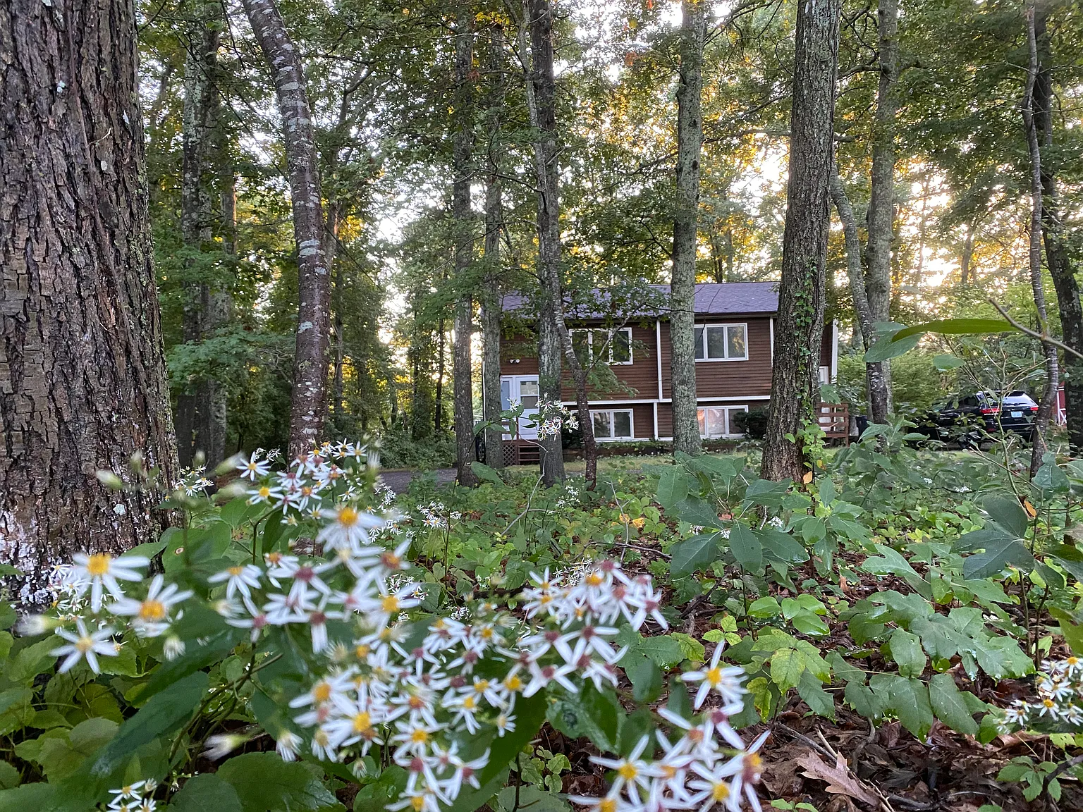 447 Boston Neck Rd — Photo 2