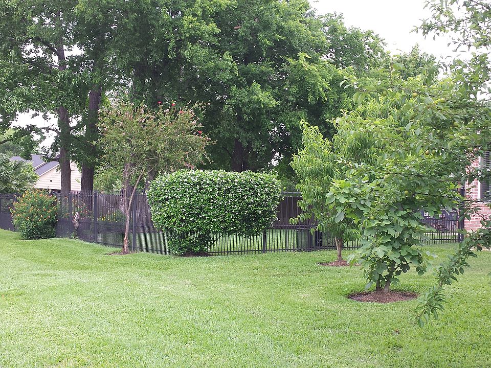 Side Yard with Fruit Trees