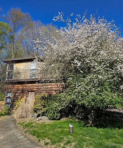 298 Bedford Banksville Rd — Photo 17