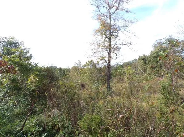 8 Acre Tract, Catlettsburg, KY 41129