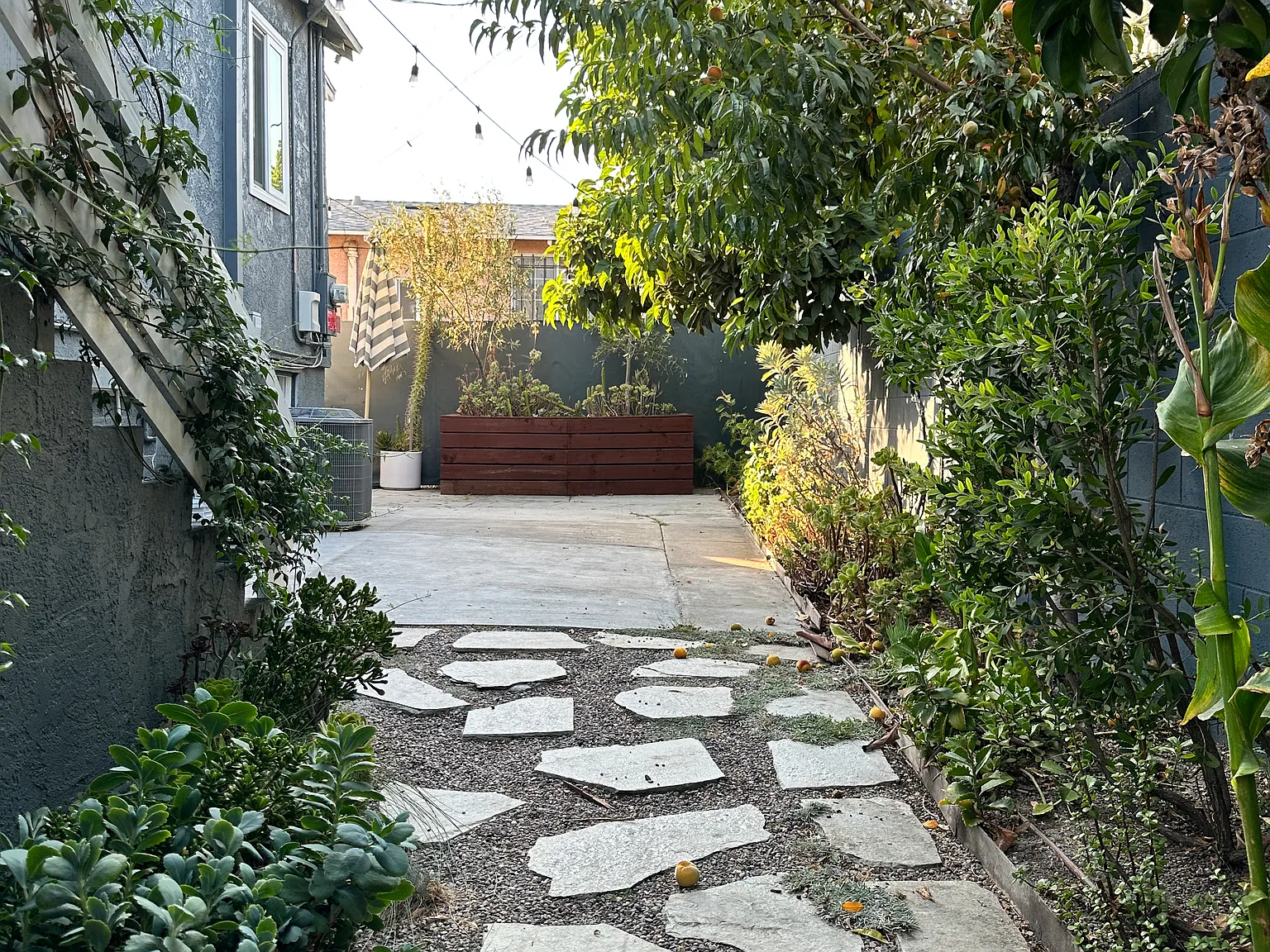 2 bed, 1000 sqft, $3,500 — Photo 3