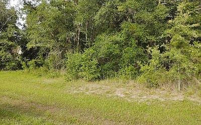 2nd image of 641 NW Country Lake Dr