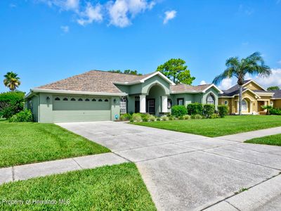14137 Andrew Scott Rd, Spring Hill, FL, 34609