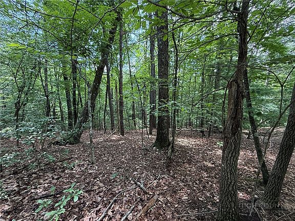 5th image of Lot 139 Pine Burr Drive