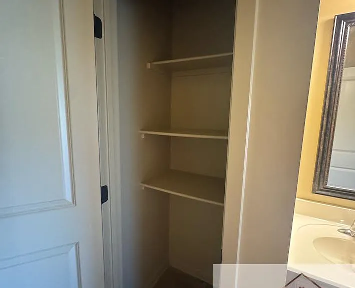 Bathroom closet