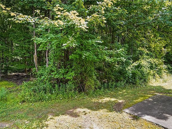 5th image of 4222 Pine Dr