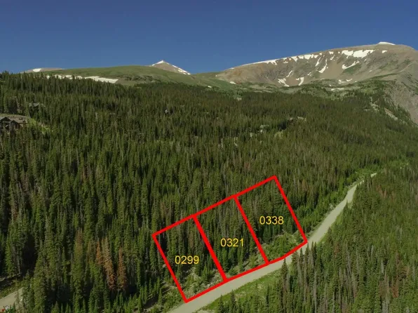 339 County Road 805, Breckenridge, CO 80424