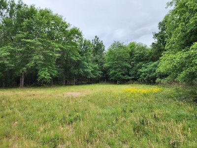 0 Weeks Rd, Williston, SC, 29853