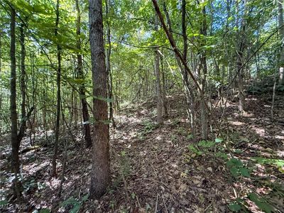 Mudsoc Rd, Patriot, OH, 45658