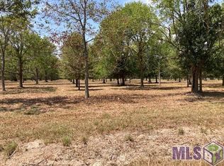 14203 A Poirrier Rd, Gonzales, LA 70737