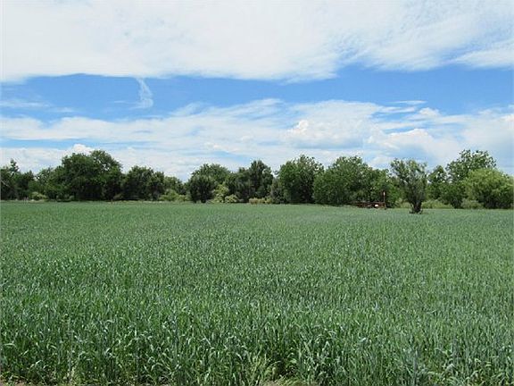 4th image of 20282 County Road 54