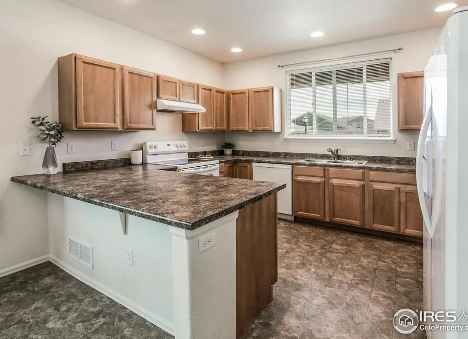 2113 Day Spring Dr — Photo 2