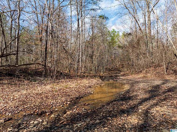 3rd image of 0 Red Hill Rd #15