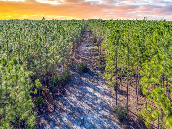 000 SE 91st Trl, Trenton, FL 32693