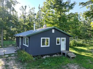 256 Mount Jack Rd, Elmira, MI 49730