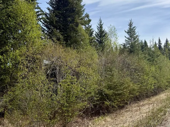37334 Rogue Cir, Anchor Point, AK 99556