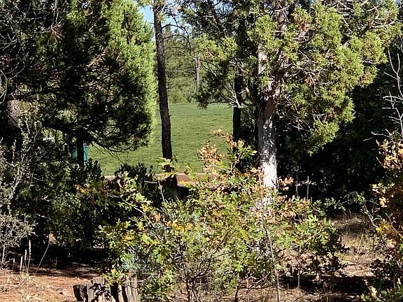 3rd image of 3381 W Senna Ln