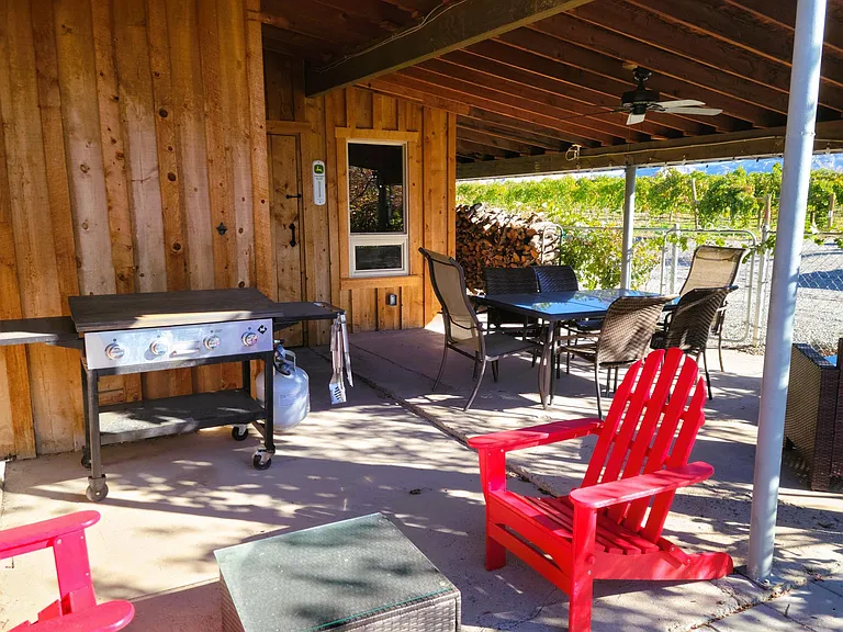 South Back Deck Summer with Griddle.