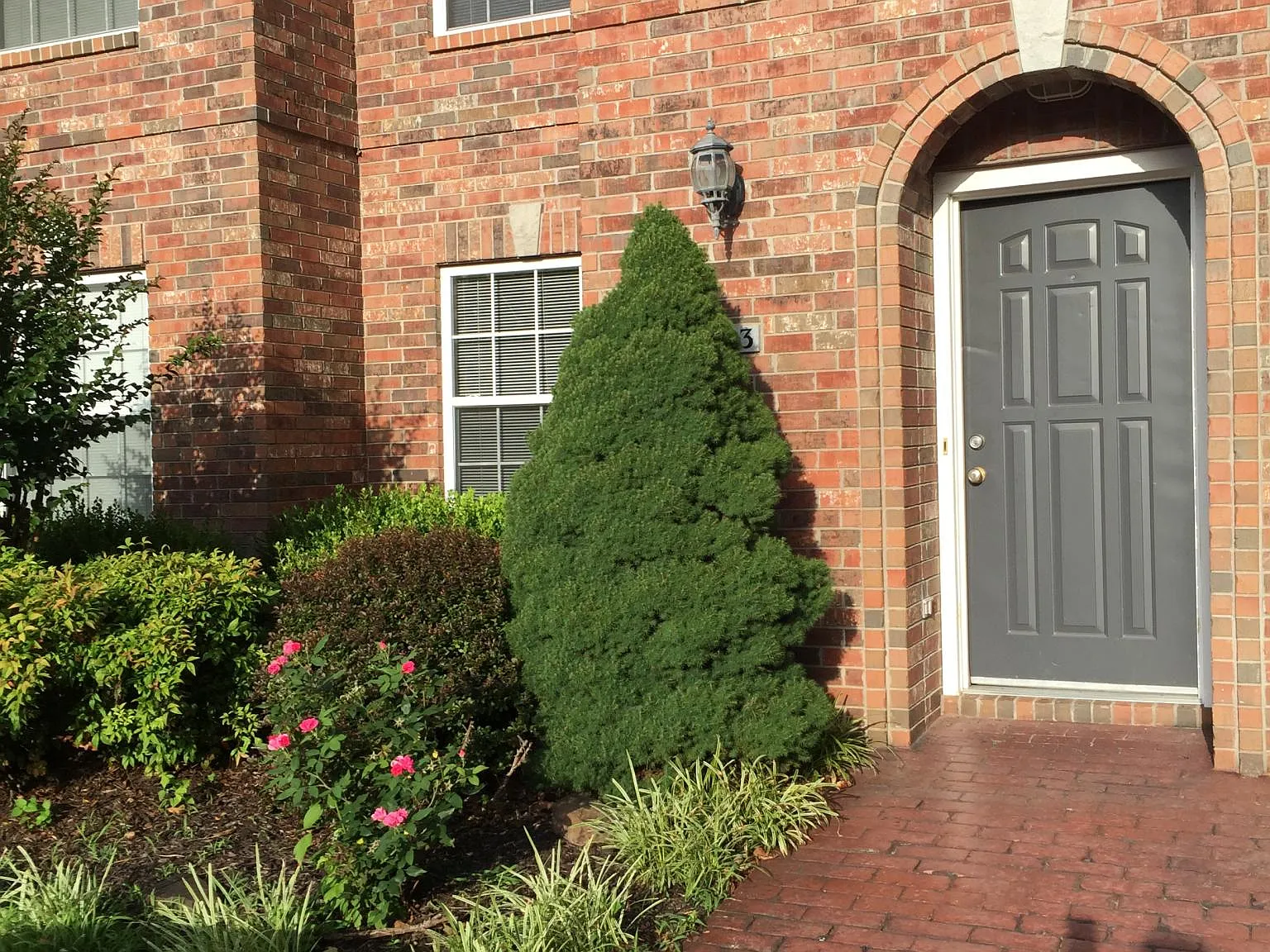 2 bed, 1.5 bath, 1100 sqft, $1,025 — Photo 1