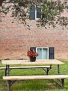 Haverford Apartments — Photo 15