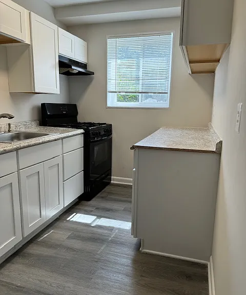 14404 Gemstone Dr — Photo 13