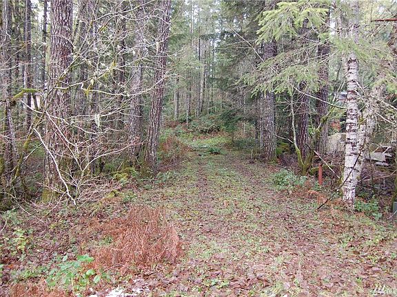 2nd image of 180 N Duckabush Loop W