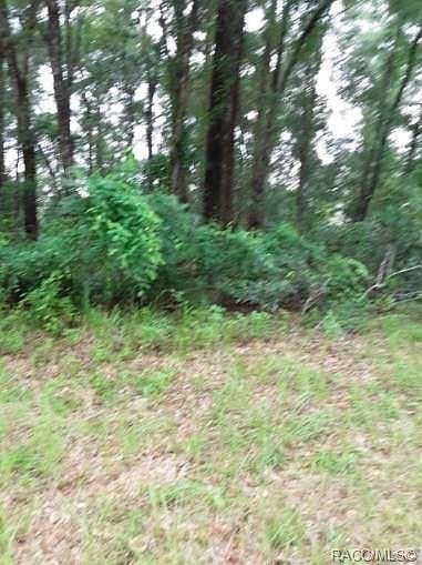 1st image of 1265 E Hobart Ln