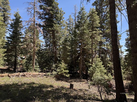 4th image of 79 W Berry Loop