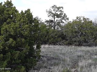LOT 341 Show Low Pnes, Concho, AZ 85924