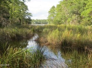 140 Wildwood Dr, Oriental, NC 28571