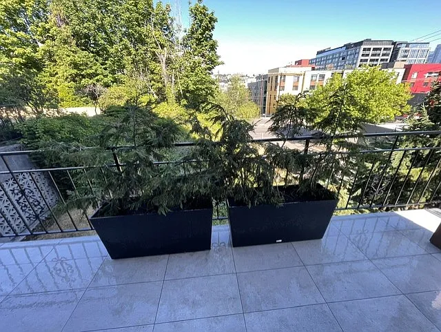 610 Aloha St #201 — Photo 15