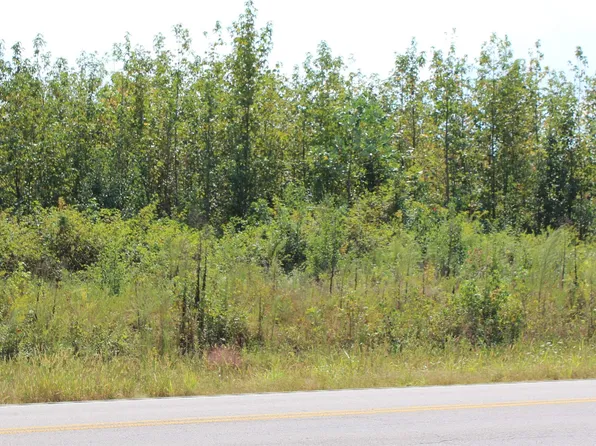 State Highway 71, Dutton, AL 35744