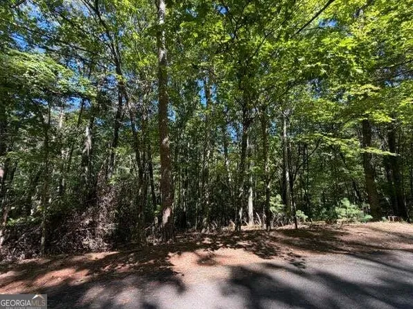 305 Seneca Dr, Ellijay, GA 30540