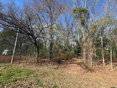 Private Road 52040, Pittsburg, TX, 75686