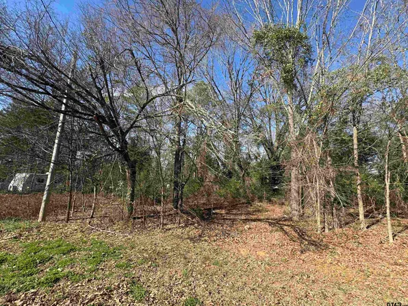 Private Road 52040, Pittsburg, TX 75686