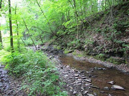 5th image of Gardner Road