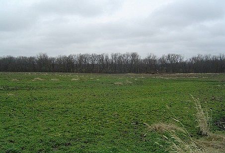 4th image of SE Honeysuckle Dr