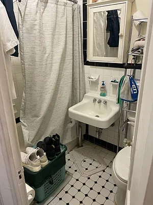 Rented by Manhattan Flats | media 11