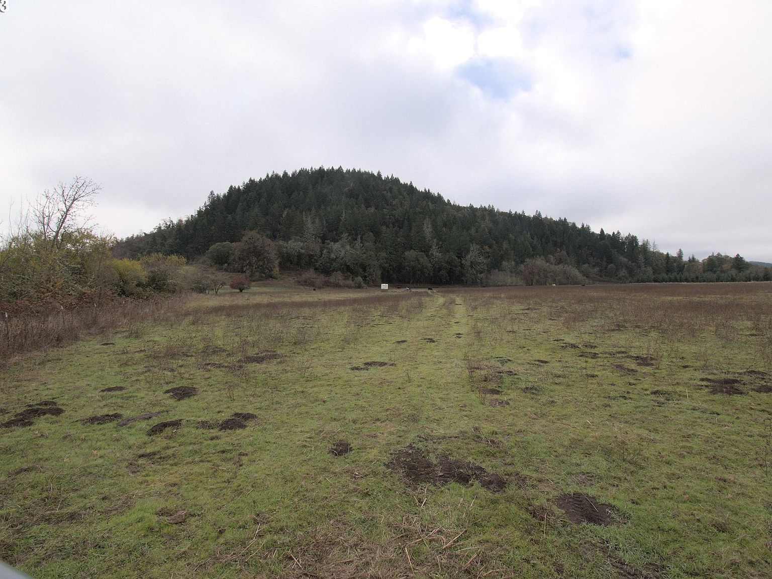 0 Canyonvilleriddle Rd, Riddle, OR 97469 Zillow