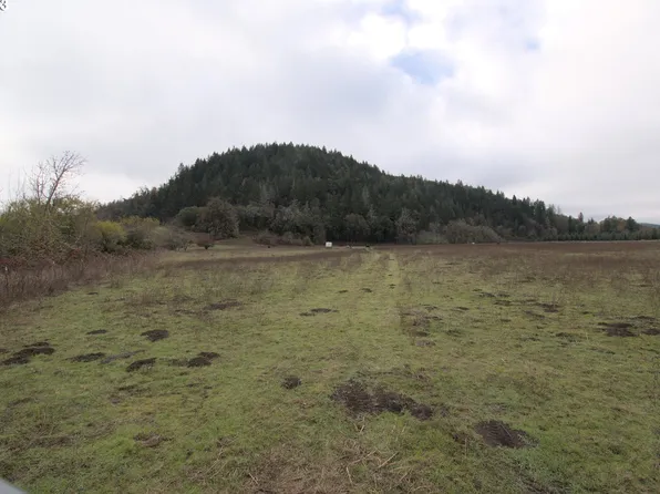 0 Canyonville-riddle Rd, Riddle, OR 97469